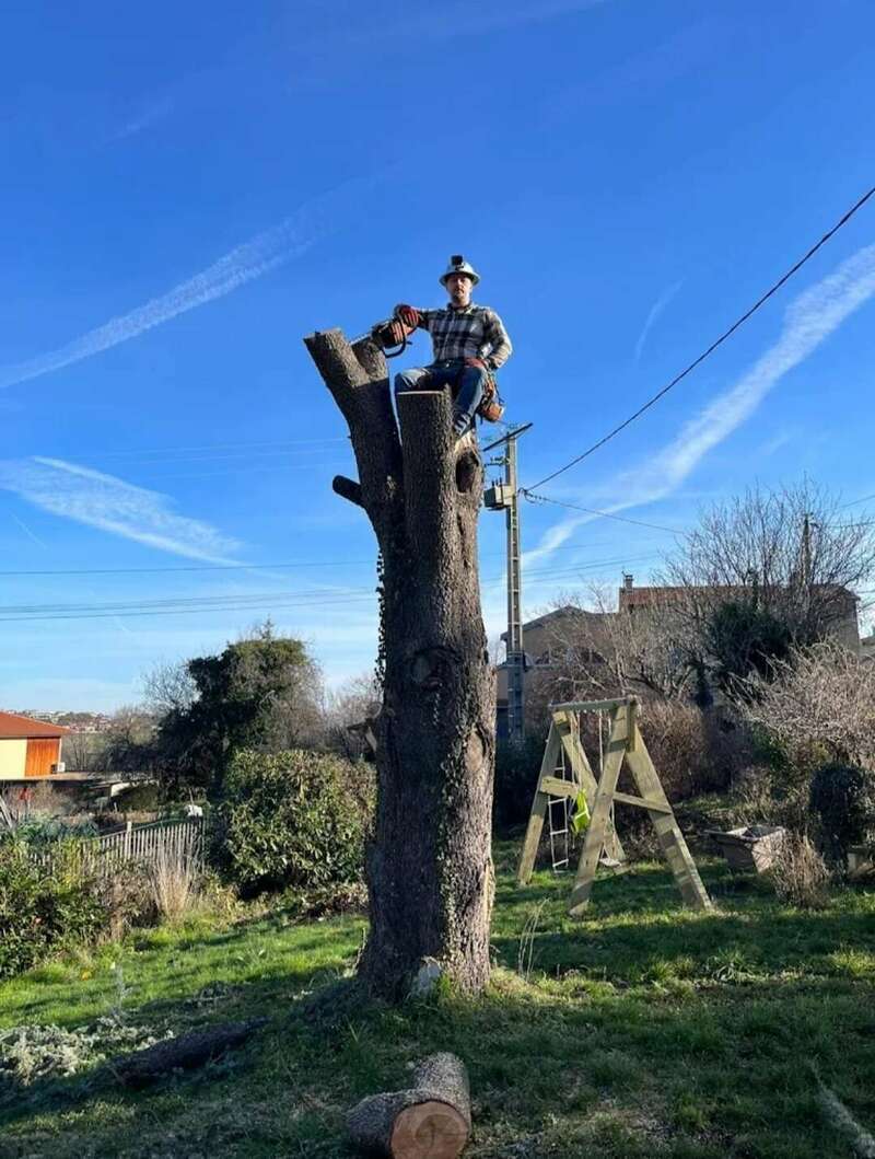 screenshot_20250110_102353_google