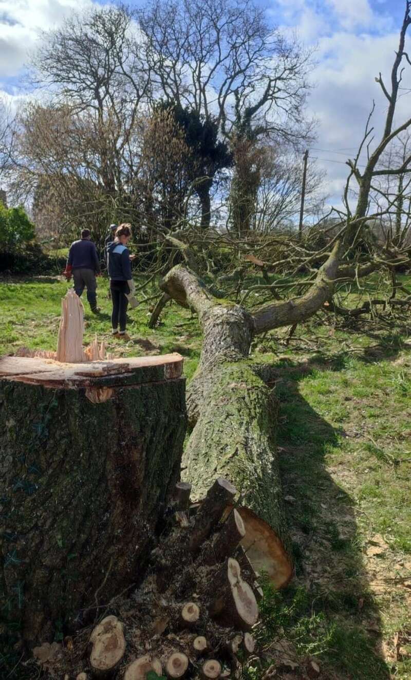 screenshot_20250110_101508_chrome