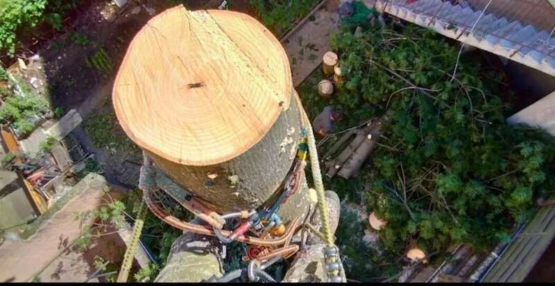 screenshot_20250110_103459_google