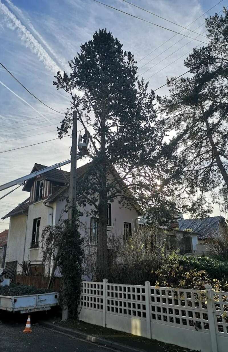 screenshot_20250110_103226_google