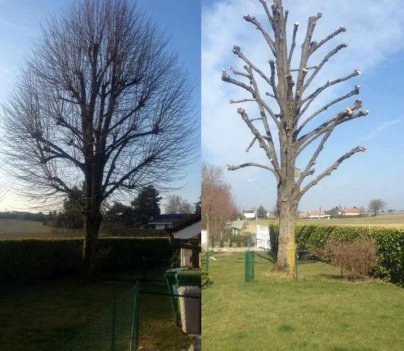 screenshot_20241222_202712_google