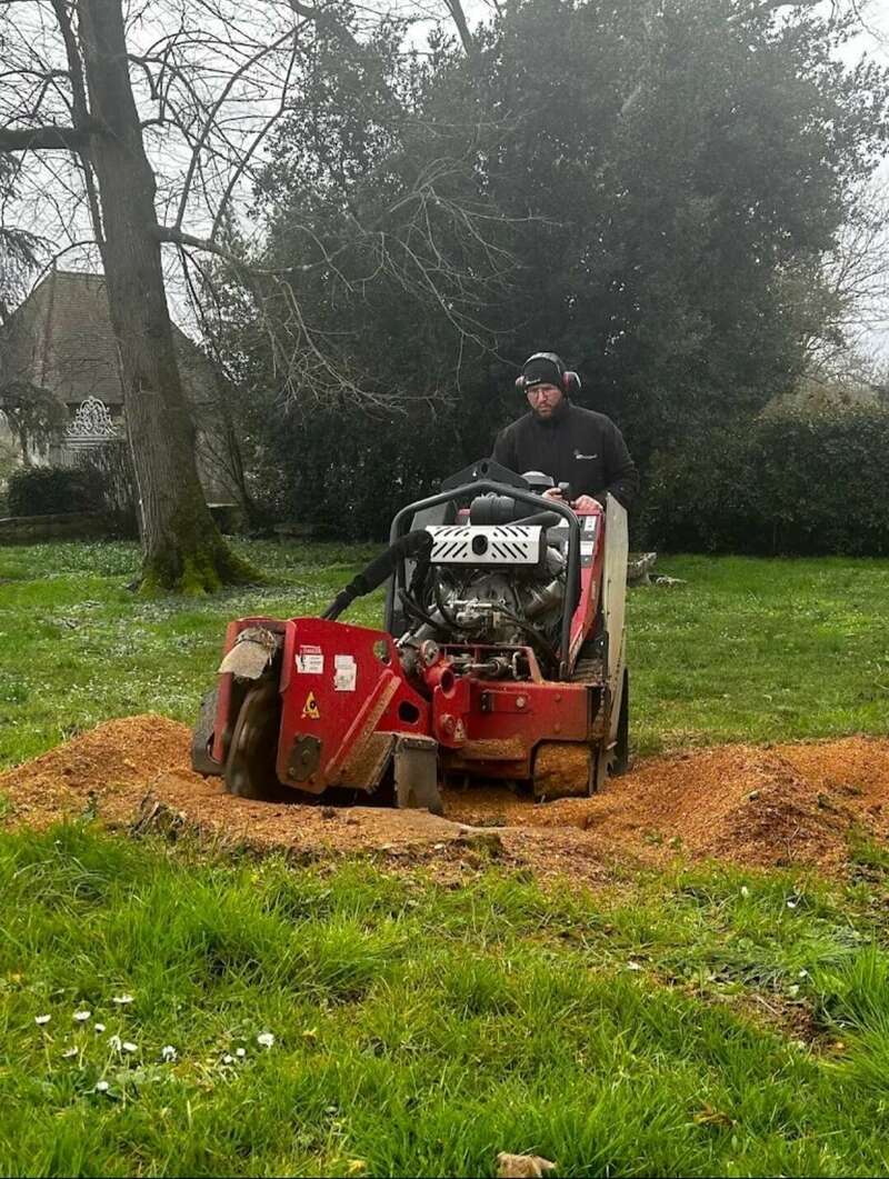 screenshot_20241222_202554_google