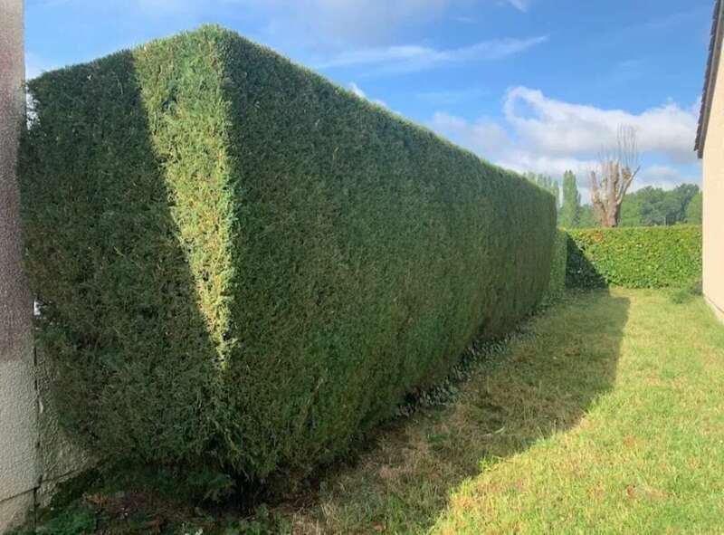 screenshot_20241222_202543_google