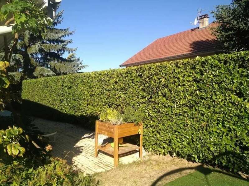 haie-de-jardin-taille.jpeg