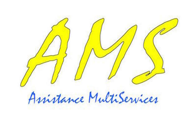 Logo Ams91