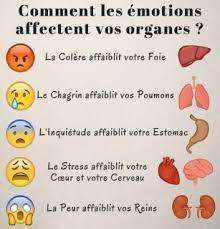 Comment nos émotions affectent nos organes?