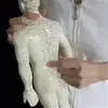 médecine traditionnelle chinoise équilibre santé