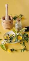 Extraits naturels de plantes pour phytothérapie efficace