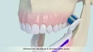 Les dentifrices fluorés