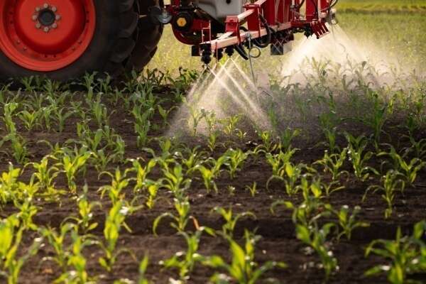 Certiphytos : nouvelle prolongation de la durée de validité