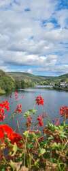 Fleurs rouges devant paysage naturel avec plan d'eau sinueux