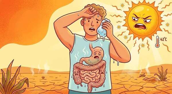 Le microbiote en surchauffe : Pourquoi la canicule bouleverse vos intestins (et comment les réparer)