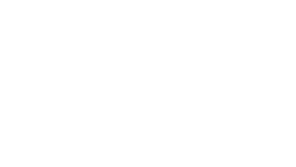 NETTOYAGE SERVICES PROFESSIONNELS (NSPRO)