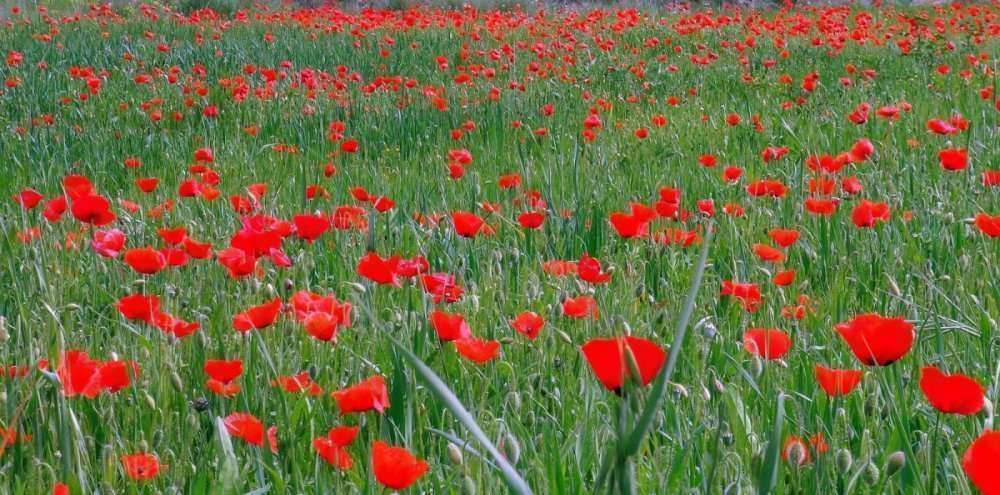 lettre de mai epanouissement et maturite