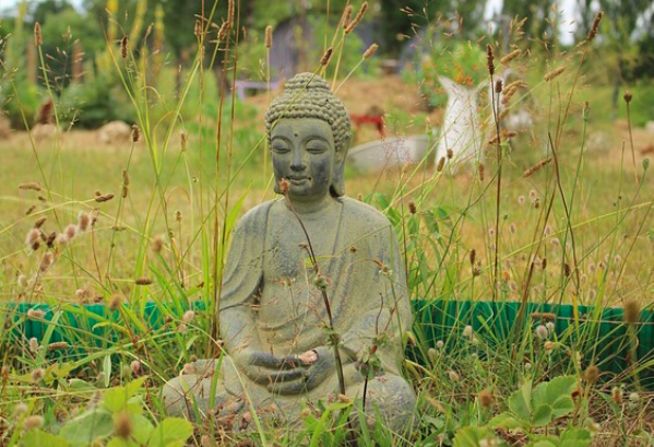 lettre doctobre par Annie Pasquer