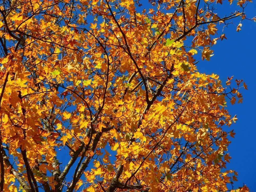 lettre septembre 2018