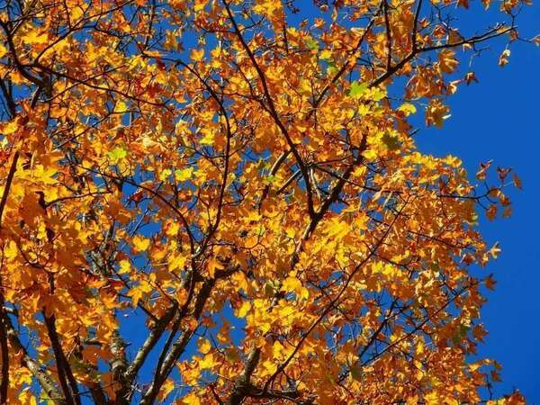 lettre septembre 2018