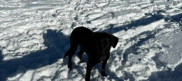 A quoi faut-il faire attention l'hiver?