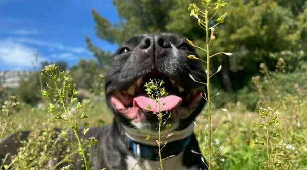 A quoi faut-il faire attention au printemps?