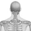 point acupuncture fatigue