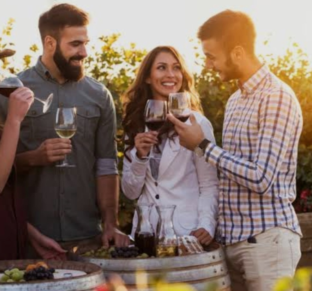 voyage œnologique à travers les vignes