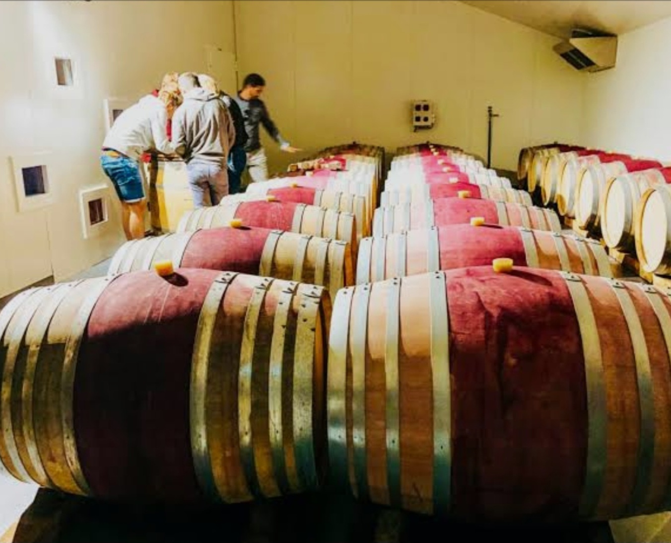 voyage viticole personnalisé en groupe avec accompagnement et coordination complète