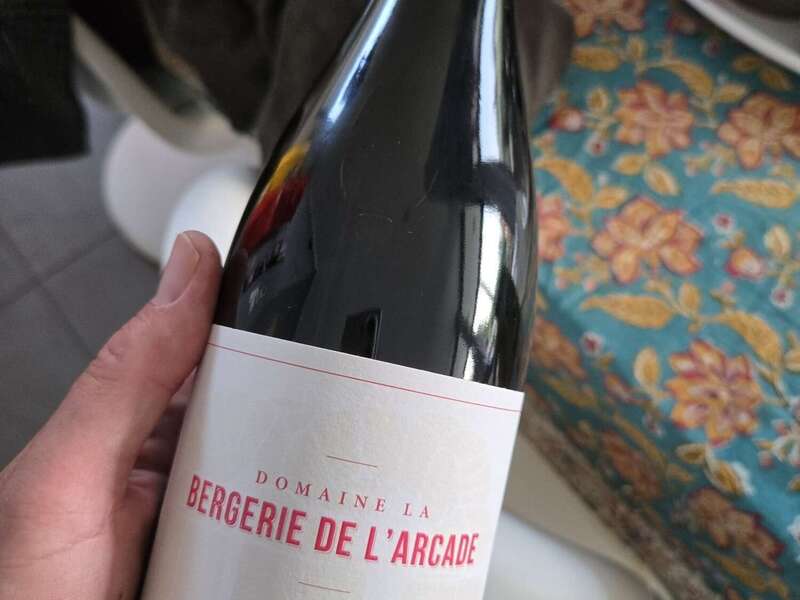 20250609_210050_resized