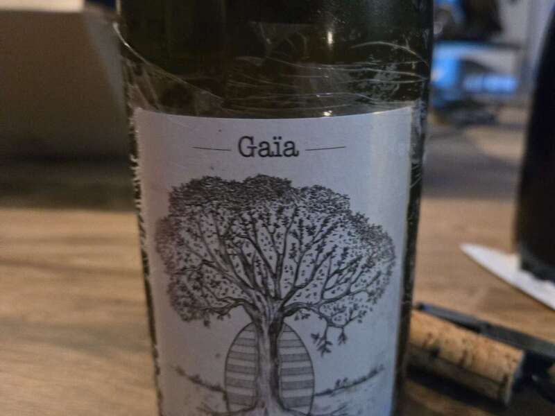 20250130_190452_resized