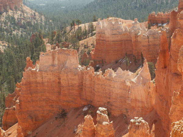 COMMENT S'OCCUPER DE FACON POSITIVE EN PERIODE DE CONFINEMENT ?