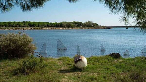Le Ponant à La Grande Motte : une bulle de nature entre étang et Méditerranée