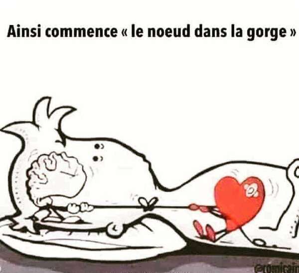 Vaincre les kilos émotionnels