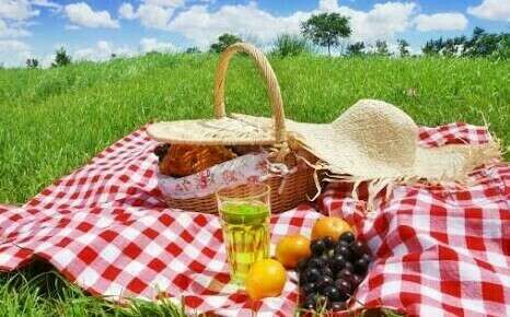 Profitez de votre pique nique ...