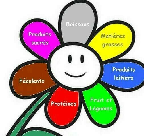 Aliments et satiété : le top 7