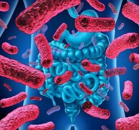 Les probiotiques : Lesquels? Comment ? 