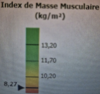 musculation protéines repas récupération