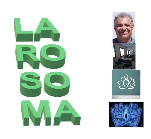 Logo Larosoma