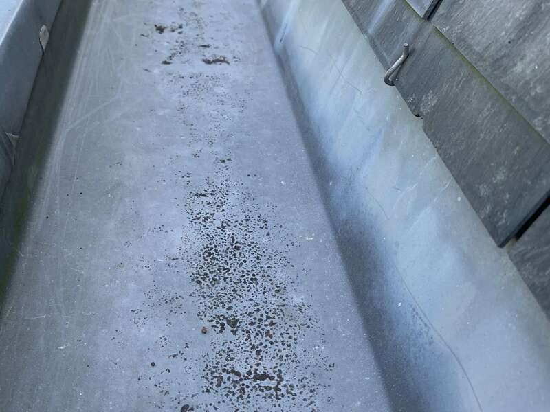 213d8e44-1dc4-4862-b29e-c246a86a927a20230711-2857108-4u604m