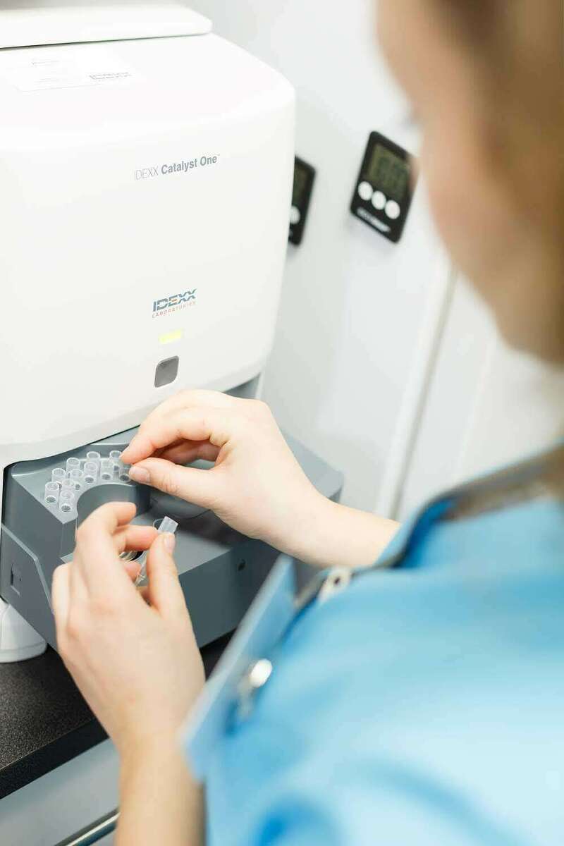 _mgl556220250616-1197530-lp0xih