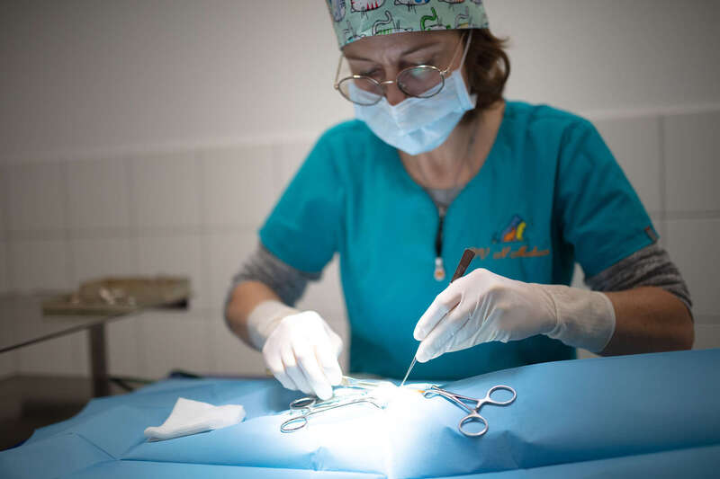 _66a377820250616-1183446-fmfoo1