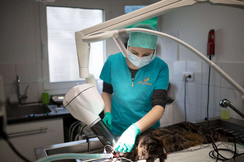 _66a365720250616-1172213-c5idg8