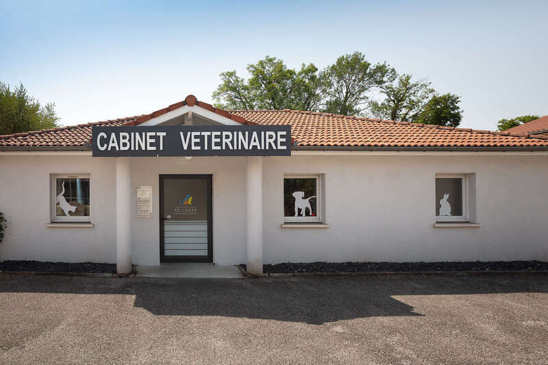 _66a270720250616-1159895-452mza