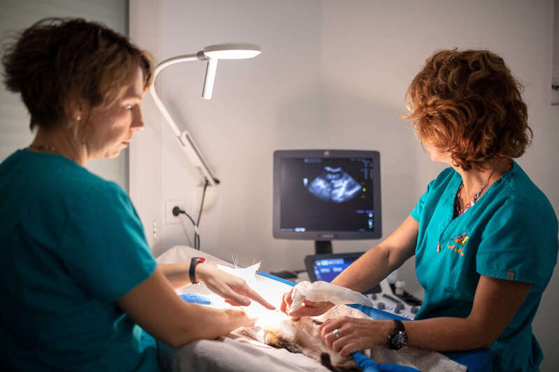 _66a264020250616-1193181-mfzel7