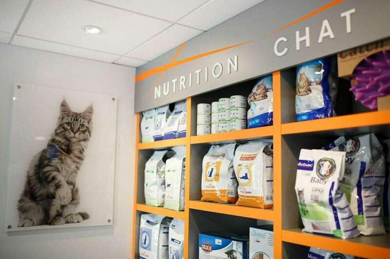 _mgl530920250616-1201720-urqf9o