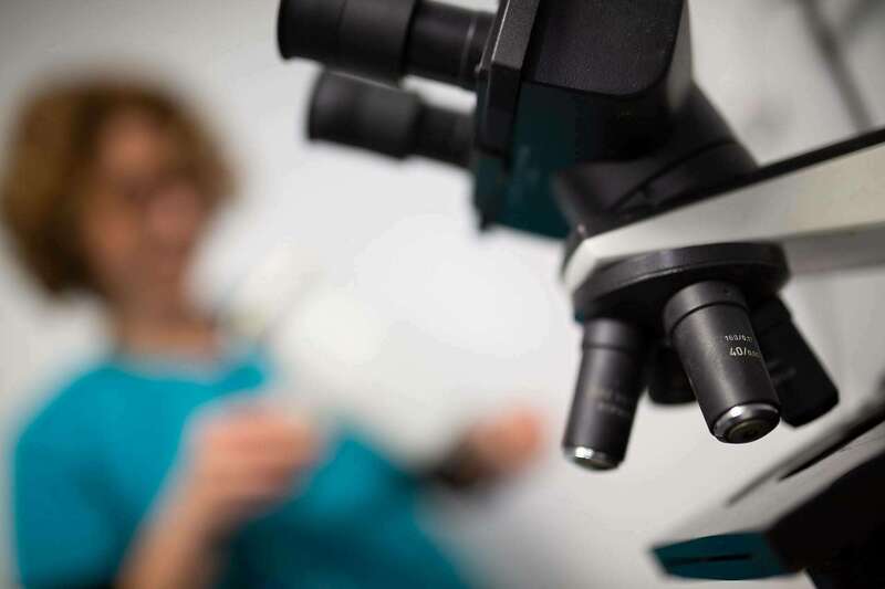 _mgl536320250616-1197530-fk72j