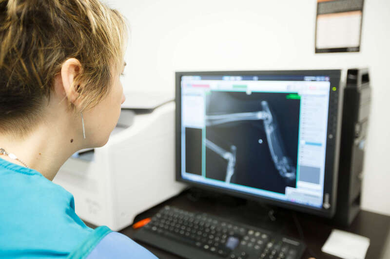 _mgl566620250616-1159895-cnljst