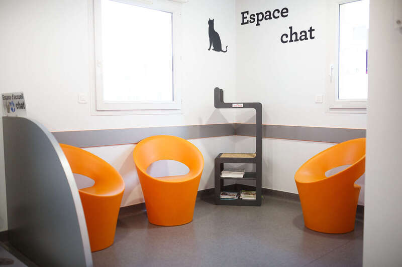 _mgl530620250616-1201720-8y2ysd