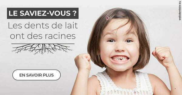 Les dents de lait