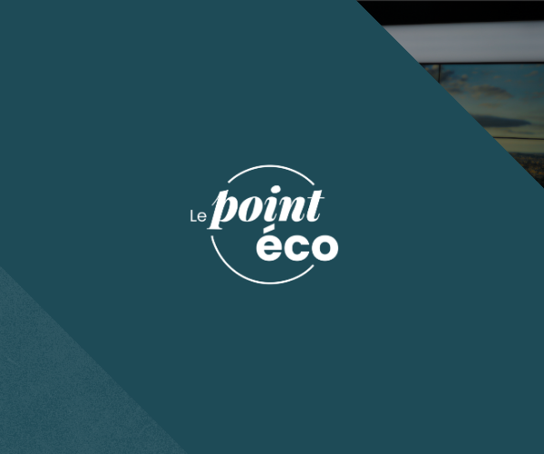 Les positions tranchées de l'économiste d'Ecofi