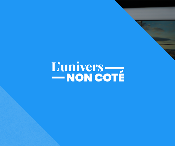 Patrimoine : comment bien utiliser le non coté ?