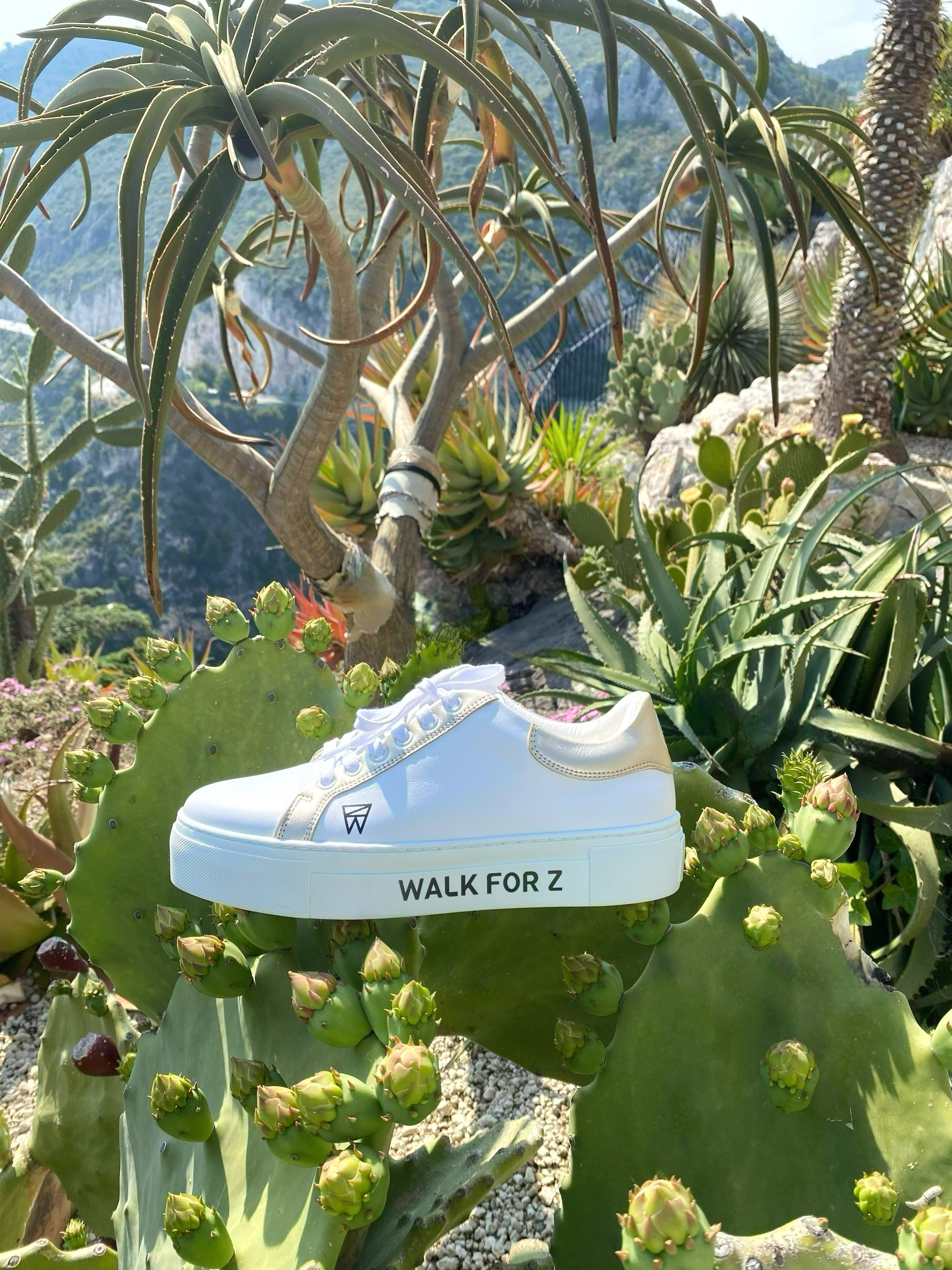 Cuir de Cactus pour nos chaussures